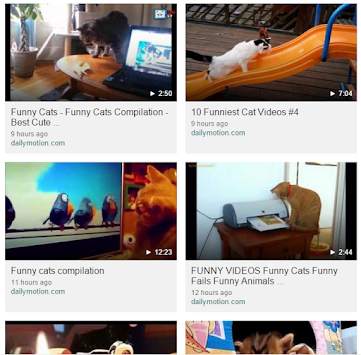 Funny Cat Videos HD screenshot 2