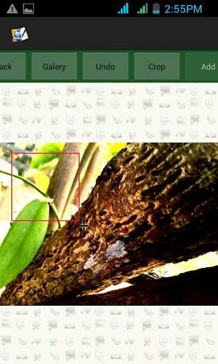 Image Comment Editor screenshot 1