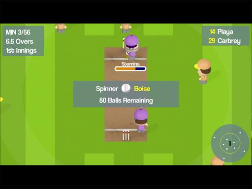 Smashtastic Cricket screenshot 11