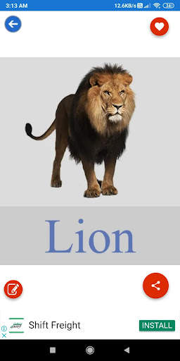 Animals Learning: Animals, Birds, Insects Images screenshot 7