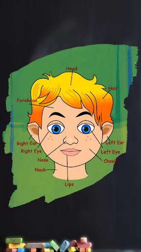 Body Parts screenshot 6