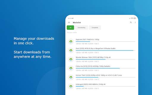 MediaGet - torrent client screenshot 9