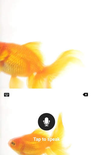 Gold Fish Fancy Keyboard Theme screenshot 4
