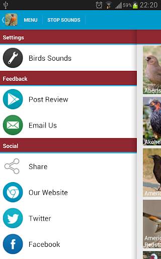 North American Birds Free screenshot 8