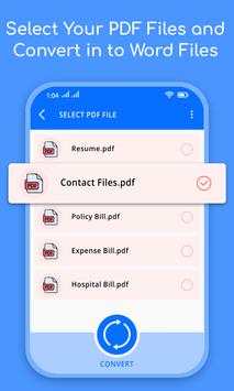 PDF to Word Converter screenshot 2