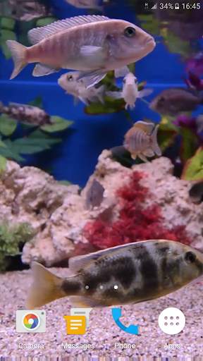 Aquarium 4K Live Wallpaper screenshot 5