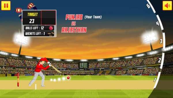 Pro Cricket Tournament screenshot 3