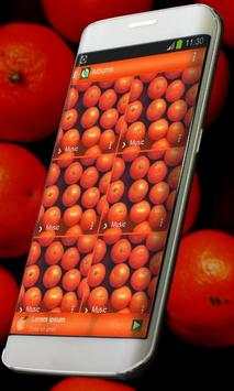 Mandarin Music Player Skin screenshot 4