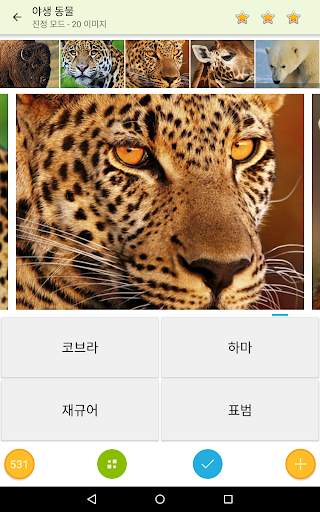 사진 퀴즈 - 사진을 맞춰보세요 screenshot 4