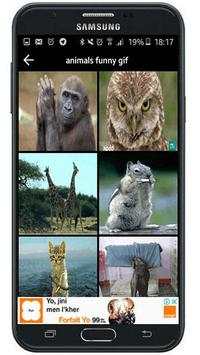 animals funny gif screenshot 3