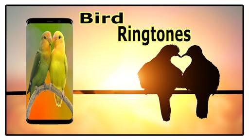 Bird Sounds Ringtones Free screenshot 6