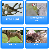 Animal Sounds icon
