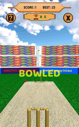 Bowled 3D - Cricket Game screenshot 16