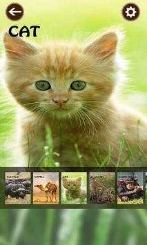 Bird and Animal Sound Effect screenshot 6