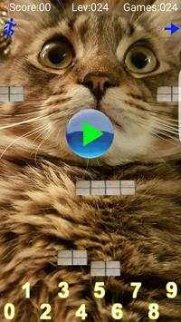 taquito game - math free game screenshot 1