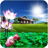 Lotus live wallpaper 1.0