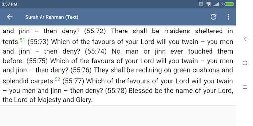 Surah Rahman Sudais MP3 screenshot 17