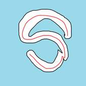 The S app