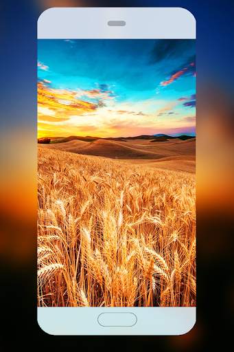 Free Wallpapers QHD & 4K Background screenshot 2