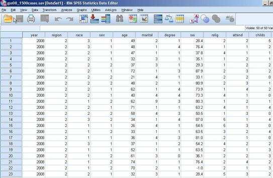 SPSS 22 ADVANCED screenshot 1