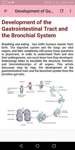 Human Embryology screenshot 4