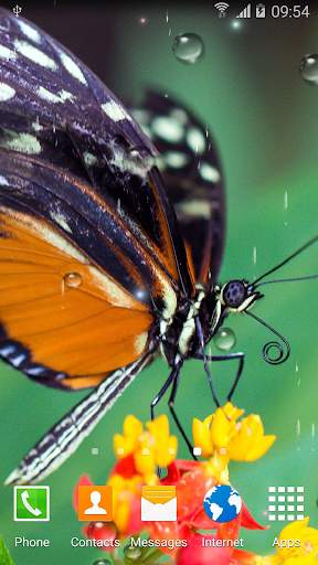 Rainy Flowers Live Wallpaper screenshot 5