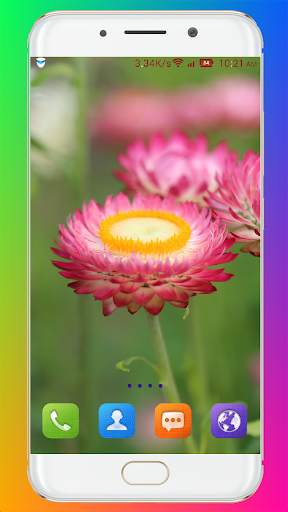 Flower Wallpaper HD screenshot 13