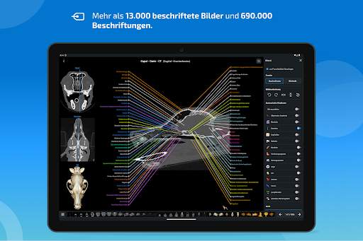 vet-Anatomy screenshot 10