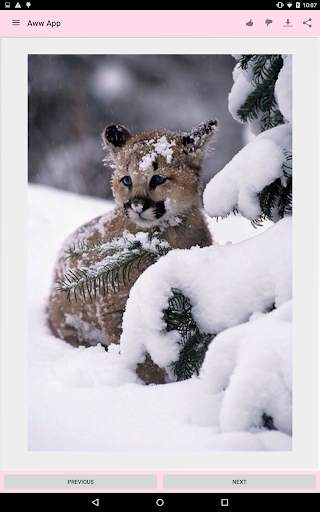 Aww App 24 تصوير الشاشة