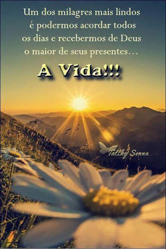 Frases Bonitas de Saludos GIFs screenshot 7