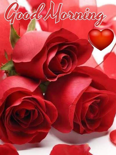 Good Morning My Love Gif screenshot 5