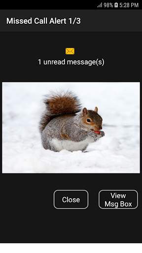 Missed Call Alert screenshot 3