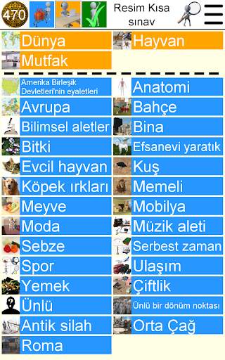 Resim Kısa sınav screenshot 15