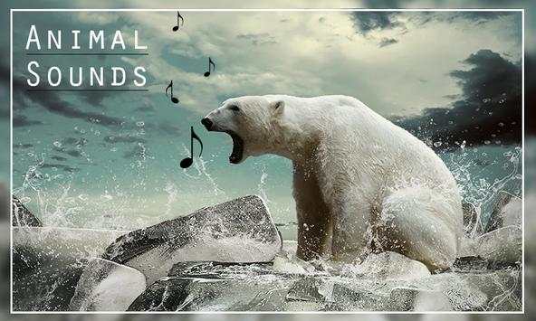 Animal Sounds screenshot 7