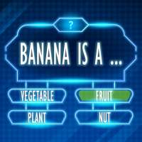 Trivia Games Offline Quiz Game logo