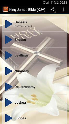 King James Bible (KJV) Audio скриншот 2