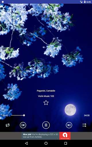 Violin Music Collection screenshot 15