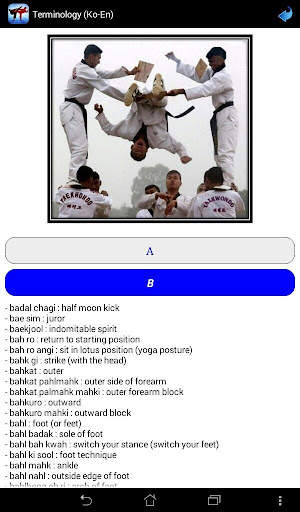 Taekwondo ITF screenshot 10