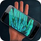 Real X-ray scanner simulator 3.3