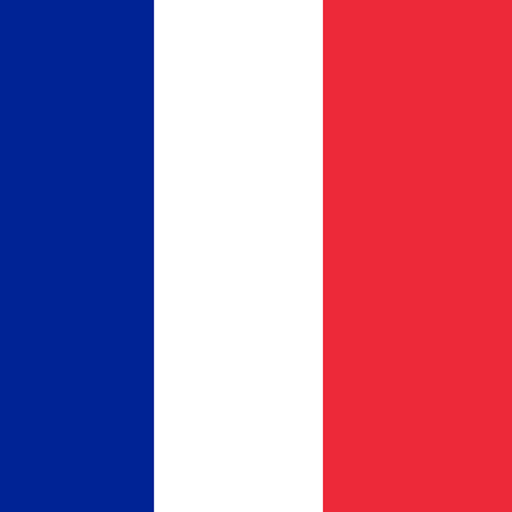 Learn French icon