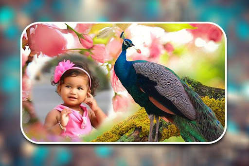 Peacock Photo Frames screenshot 6