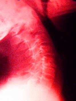 Dr Ken Pace screenshot 3