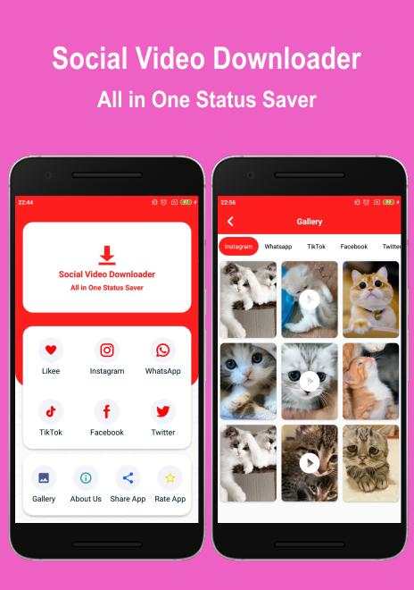 Social Video Downloader: All in One Status Saver screenshot 1