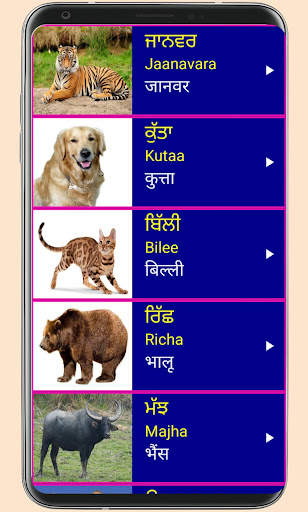 Learn Punjabi From Hindi 5 تصوير الشاشة