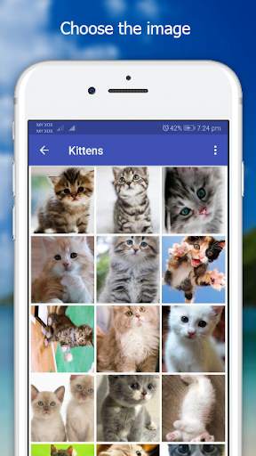 Cutie Cat Wallpaper screenshot 2