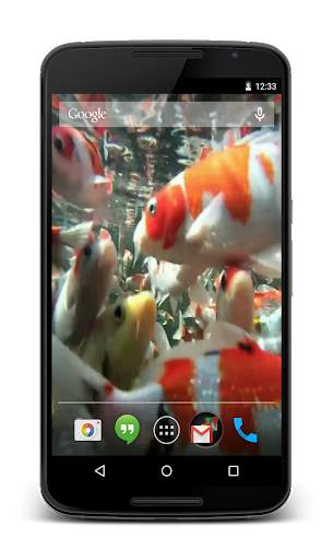 Koi HD Video Live Wallpaper screenshot 4