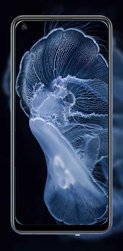 Wallpapers for Oppo Find X2 & Find X3 Wallpaper 7 تصوير الشاشة