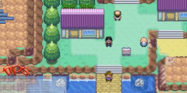 tips for POKEMON FIRE RED VERSION screenshot 2