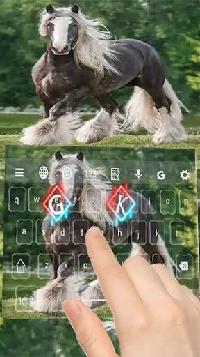 Gypsy Horse Keyboard screenshot 4
