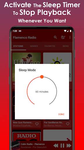 Flamenco Music screenshot 4